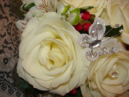 Close up view of white rose
